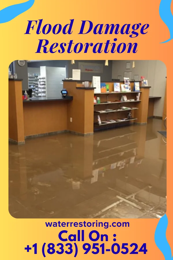 Flood Damage Restoration in Gresham, WI