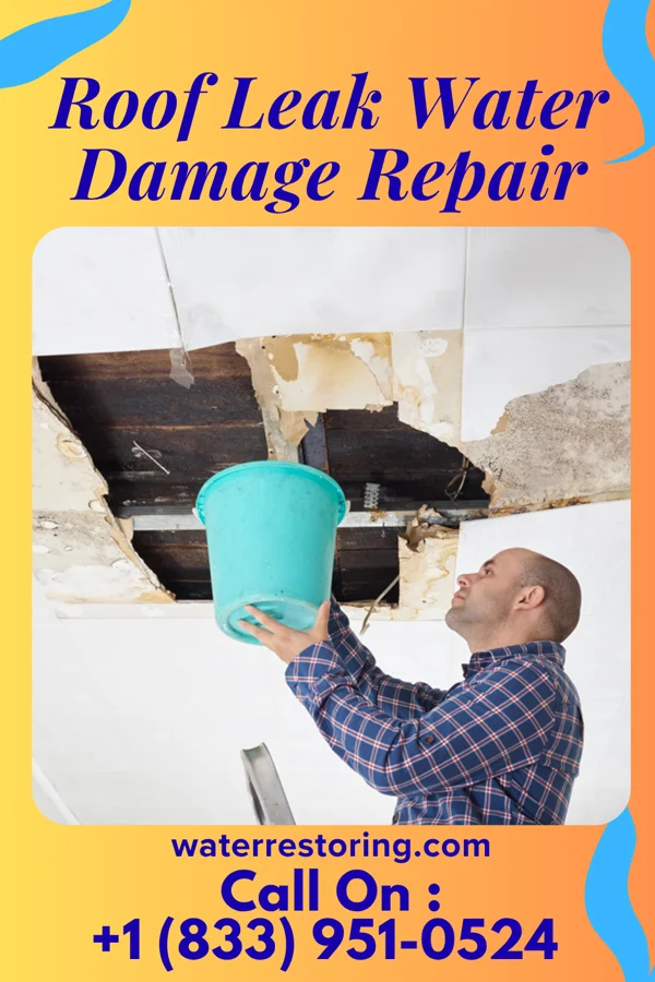 Roof Leak Water Damage Repair in Gresham, WI