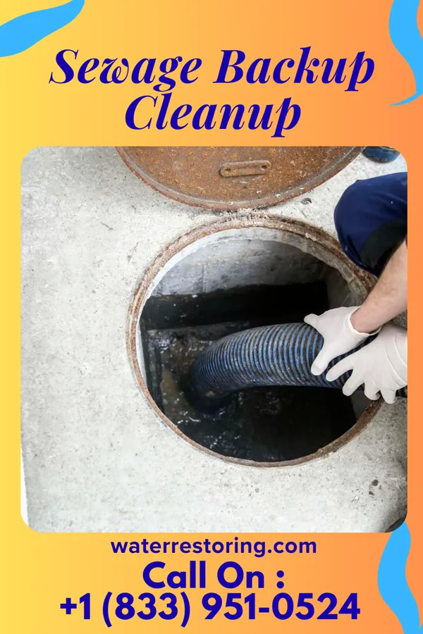 Sewage Backup Cleanup in Gresham, WI